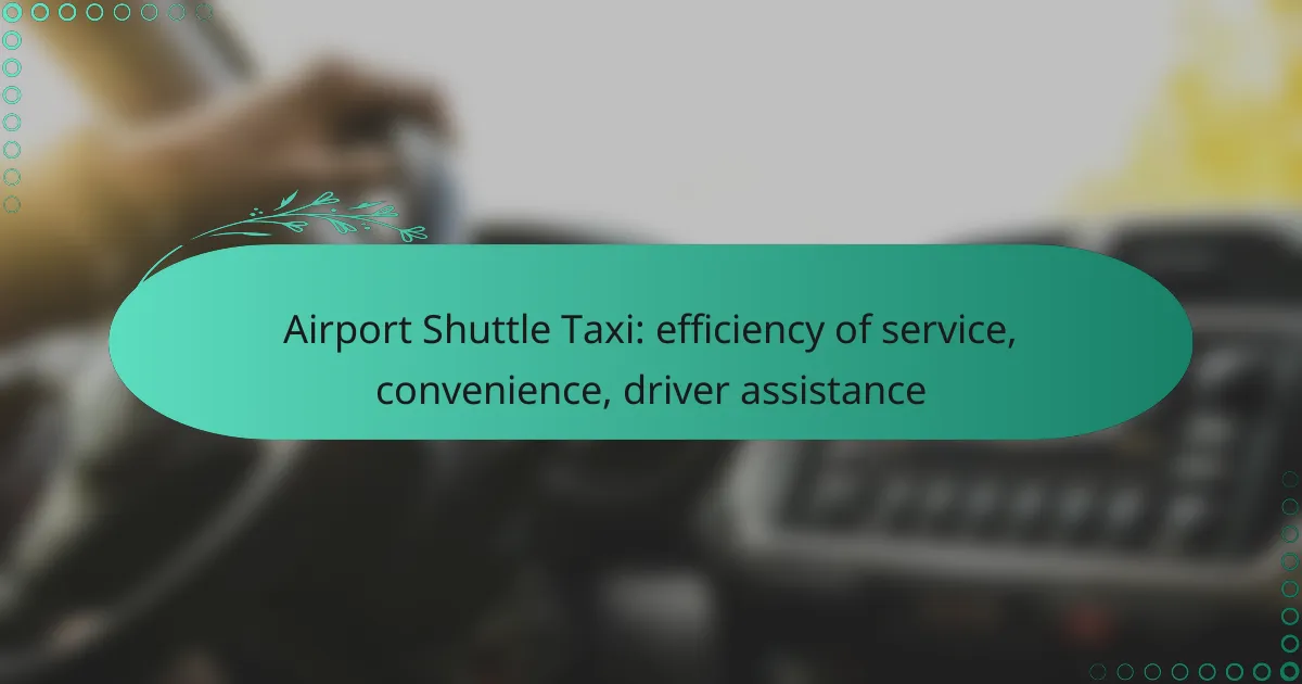 Airport Shuttle Taxi: efficiency of service, convenience, driver assistance