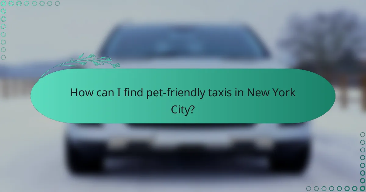 How can I find pet-friendly taxis in New York City?