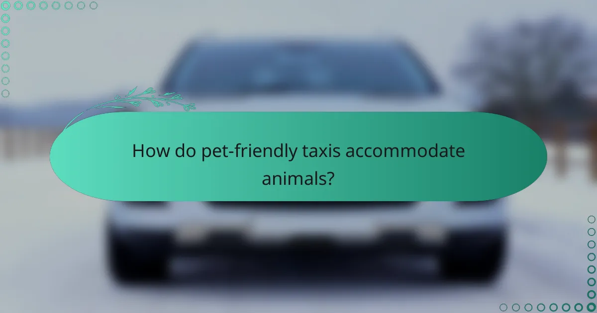 How do pet-friendly taxis accommodate animals?