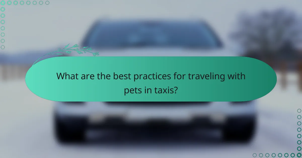 What are the best practices for traveling with pets in taxis?