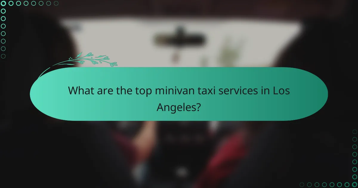 What are the top minivan taxi services in Los Angeles?