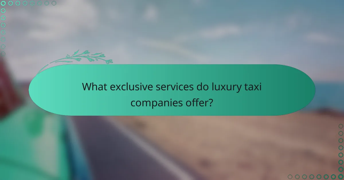 What exclusive services do luxury taxi companies offer?