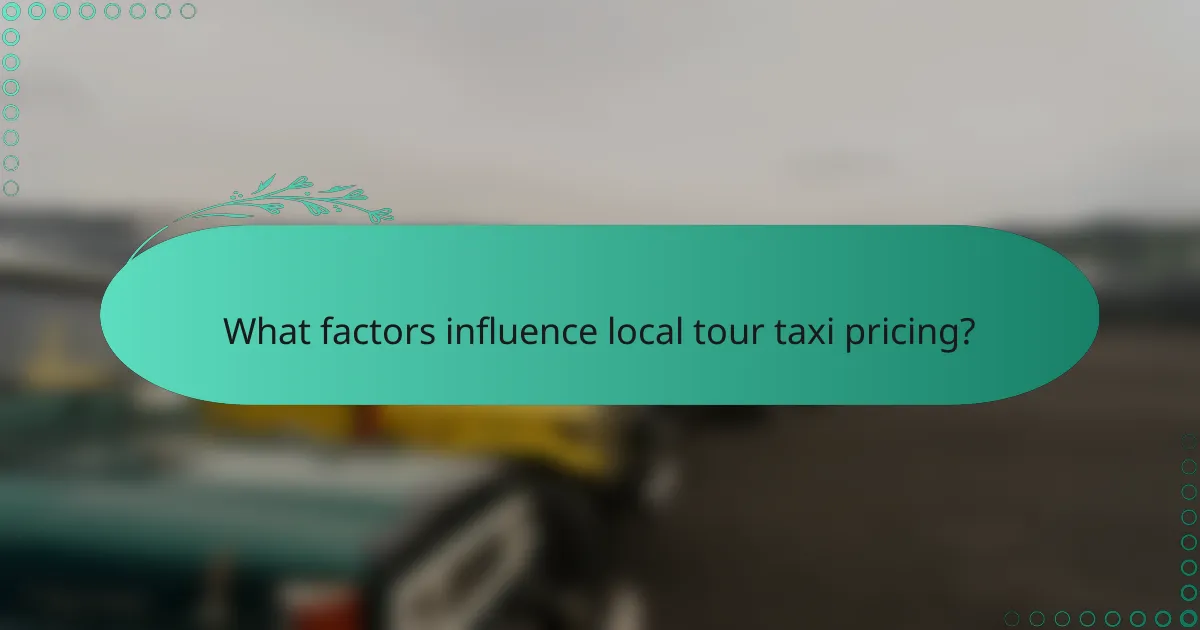 What factors influence local tour taxi pricing?