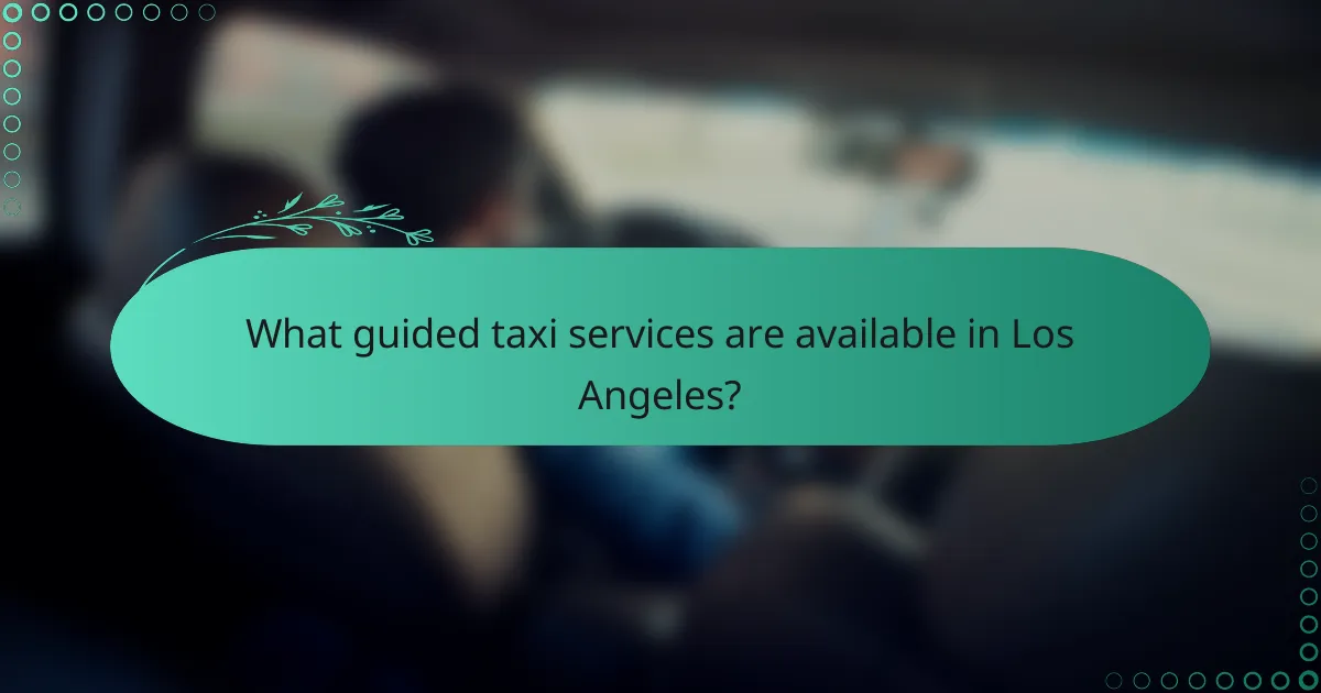 What guided taxi services are available in Los Angeles?