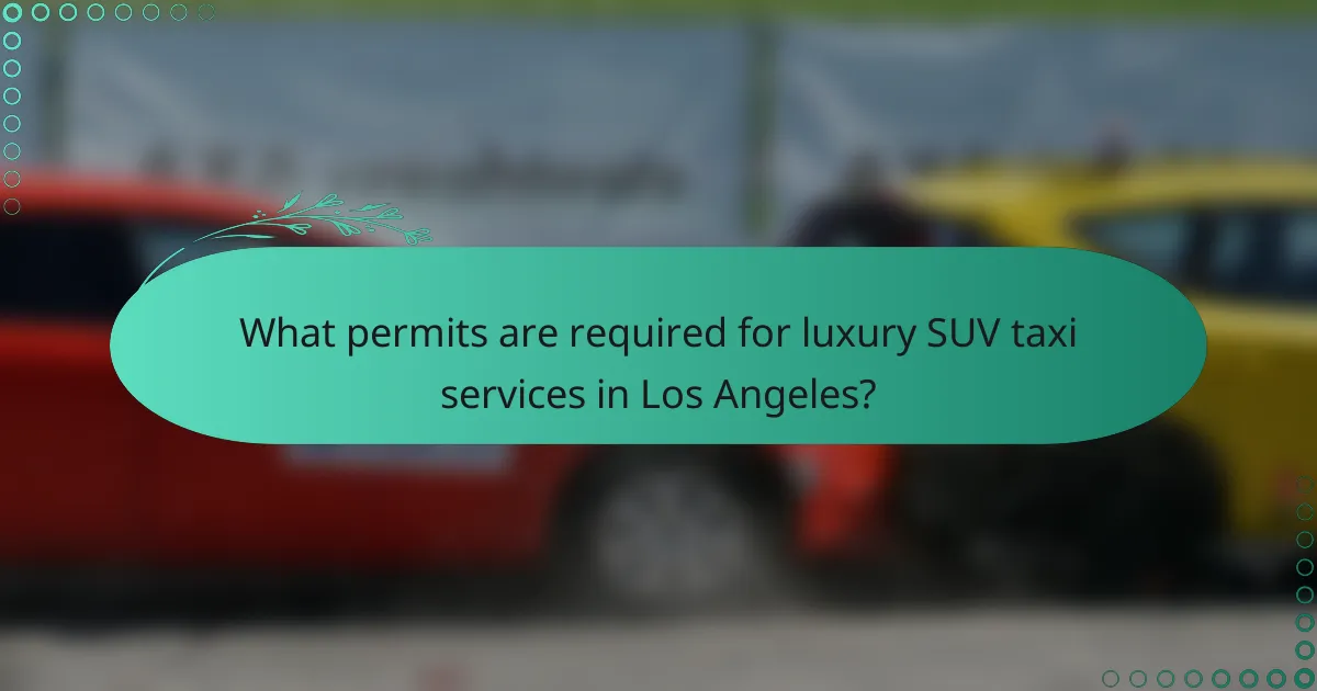 What permits are required for luxury SUV taxi services in Los Angeles?